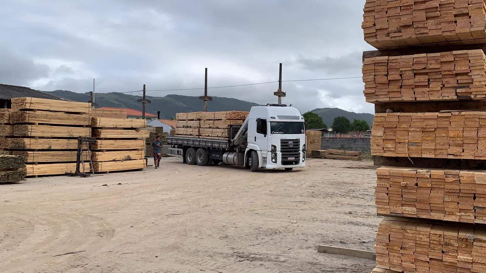 Madeira tratada de fornecedor parceiro